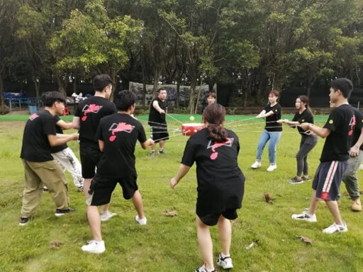 Team Member 3
